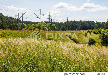 Lush, sun-kissed tall grass sways gracefully in a vast field. Railway lines with power poles emerge behind, bordered by a forest under a blue sky Lush, sun-kissed tall grass sways gracefully in a vast field. Railway lines with power poles emerge behind, bordered by a forest under a blue sky 139550481
