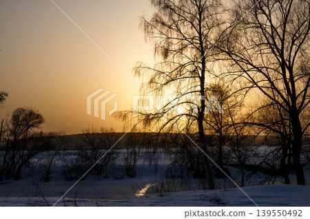 Striking silhouettes of bare birch trees against a stunning golden sunset over a snowy, frozen winter landscape. A tranquil, chilly evening vibe Striking silhouettes of bare birch trees against a stunning golden sunset over a snowy, frozen winter landscape. A tranquil, chilly evening vibe 139550492