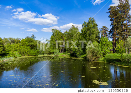 Serene pond reflecting vibrant greenery under a clear blue sky. Water dappled with duckweed, surrounded by diverse trees. A peaceful natural escape Serene pond reflecting vibrant greenery under a clear blue sky. Water dappled with duckweed, surrounded by diverse trees. A peaceful natural escape 139550526