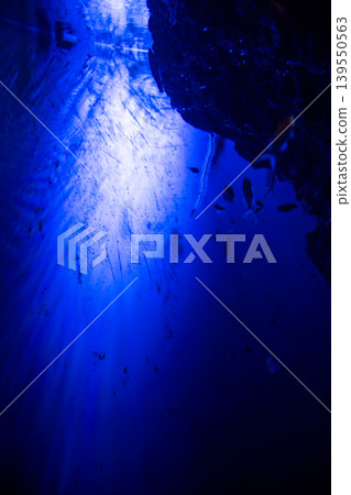 Mysterious underwater world Mysterious underwater world 139550563
