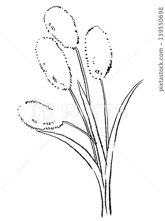 一幅手繪線條藝術插圖，描繪了一隻毛茸茸的拉格拉斯。 139550698