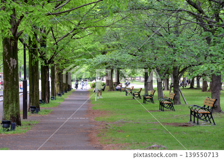 Toneri Park, enveloped in fresh greenery 139550713