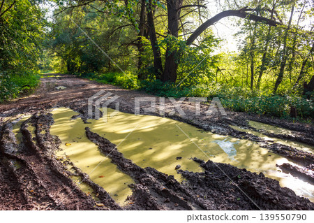 Gnarly dirt path, slick with goopy mud and swampy puddles, cutting through verdant timberland under sun Gnarly dirt path, slick with goopy mud and swampy puddles, cutting through verdant timberland under sun 139550790