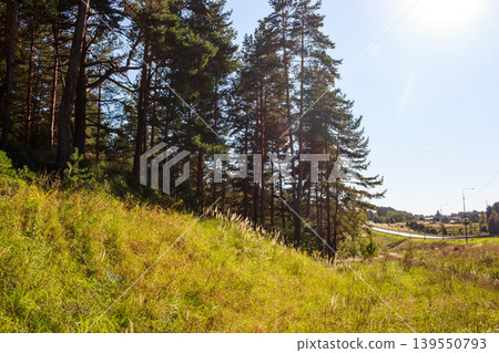 Vibrant green slope with tall, majestic pines reaching for the sky. A clear day with a country road in the distance Vibrant green slope with tall, majestic pines reaching for the sky. A clear day with a country road in the distance 139550793