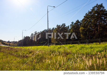 A sunny day showcases a long highway lined with streetlights, lush green grass, and dense pine woods. A clear blue sky above A sunny day showcases a long highway lined with streetlights, lush green grass, and dense pine woods. A clear blue sky above 139550794