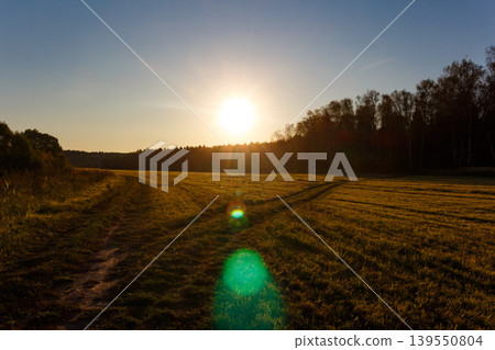 Bright sunburst over a golden field at sunset. Warm evening light illuminates a country road leading to a dark forest line Bright sunburst over a golden field at sunset. Warm evening light illuminates a country road leading to a dark forest line 139550804