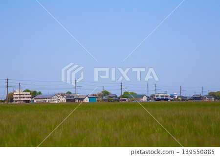 The Echizen Railway runs through wheat fields. 139550885