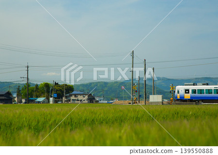 The Echizen Railway runs through wheat fields. 139550888