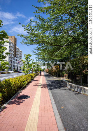 東京市區一條綠樹成蔭的人行道(垂直拍攝,靠近赤羽自然展望公園) 東京市區一條綠樹成蔭的人行道(垂直拍攝,靠近赤羽自然展望公園) 139551113