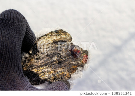 Captivating raw almandine garnet crystal glints fiery red within its mica schist host, clutched by a gloved hand amidst winter's snow. Kitelskoe deposit, Kitelya, Karelia, Russia Captivating raw almandine garnet crystal glints fiery red within its mica schist host, clutched by a gloved hand amidst winter's snow. Kitelskoe deposit, Kitelya, Karelia, Russia 139551341