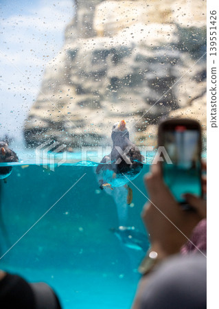 Adorable penguins seen through water droplets Adorable penguins seen through water droplets 139551426
