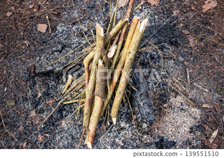 Stacked kindling and branches ready to ignite a cozy campfire. Natural wood gathered for warmth and adventure against a rustic forest backdrop Stacked kindling and branches ready to ignite a cozy campfire. Natural wood gathered for warmth and adventure against a rustic forest backdrop 139551510