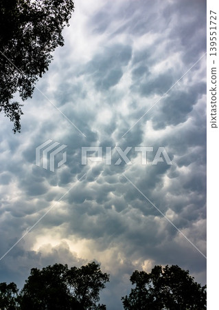 Dramatic mammatus clouds dominate the sky, forming unusual pouch-like shapes against a bright opening below and dark tree silhouettes framing the scene Dramatic mammatus clouds dominate the sky, forming unusual pouch-like shapes against a bright opening below and dark tree silhouettes framing the scene 139551727