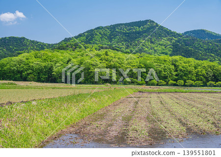 Rural scenery of Lake Biwa in the Oku area, Nishiasaicho, Nagahama City, Shiga Prefecture Rural scenery of Lake Biwa in the Oku area, Nishiasaicho, Nagahama City, Shiga Prefecture 139551801