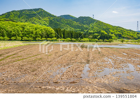 滋賀縣長濱市西夏齋町奧地區琵琶湖的田園風光 滋賀縣長濱市西夏齋町奧地區琵琶湖的田園風光 139551804