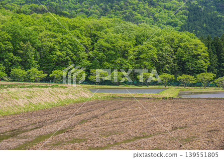 滋賀縣長濱市西夏齋町奧地區琵琶湖的田園風光 滋賀縣長濱市西夏齋町奧地區琵琶湖的田園風光 139551805