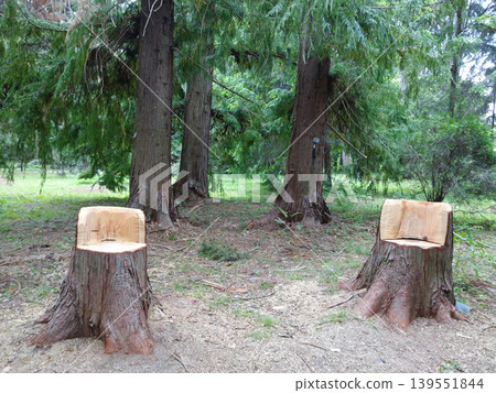 Stub chair 139551844