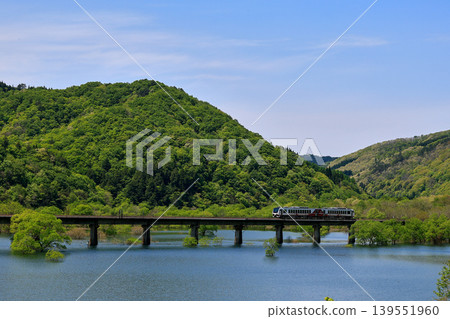 The local train "Hinabi" runs through the fresh greenery. 139551960