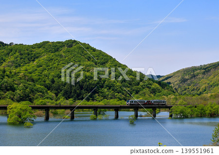 當地列車「雛火」穿過綠意盎然的草地。 當地列車「雛火」穿過綠意盎然的草地。 139551961