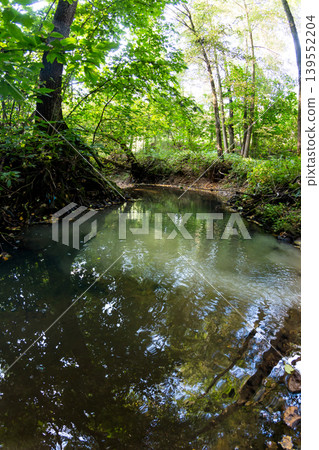 View of a forest river with garbage along the banks where a muddy stream flows into 139552204