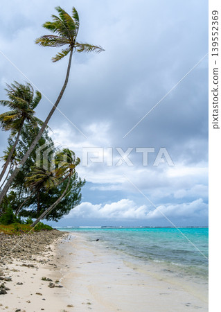 Coral garden beach with turquoise waters and palm trees on Huahine, French Polynesia 139552369