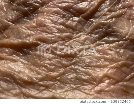 Macro image of an elderly persons skin Macro image of an elderly persons skin 139552465