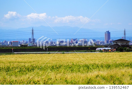 城重路與前橋市中心 139552467
