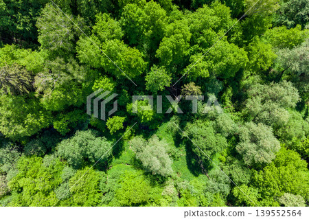 Aerial view of dense green thickets in forest area Aerial view of dense green thickets in forest area 139552564