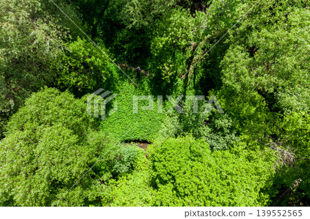 Hiking in wild green thickets, view from a drone of a silhouette of a man below Hiking in wild green thickets, view from a drone of a silhouette of a man below 139552565