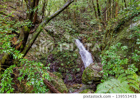 Scenery of Amami Oshima, Kagoshima Prefecture 139553435