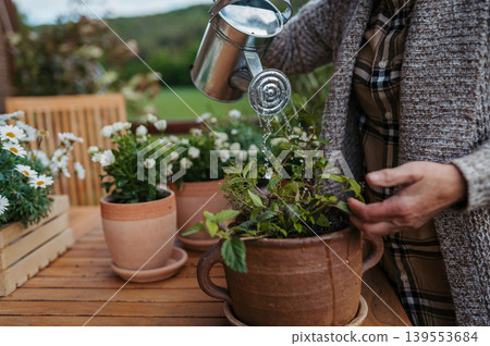 Close upf of watering flower plants in spring garden. Close upf of watering flower plants in spring garden. 139553684