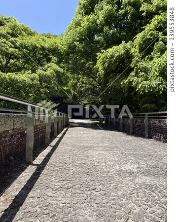 臼井第三橋 - Abt Trail，一條橫跨眼鏡橋的步道 - 6號隧道 - 綠意盎然的季節 139553848
