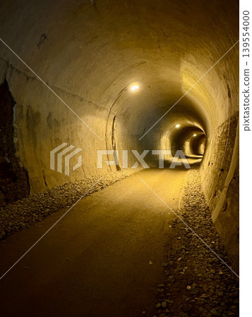 Tunnel No. 5 of the Abt Trail, a walking path that crosses the Usui Third Bridge (Meganebashi) in Annaka City, Gunma Prefecture. 139554000