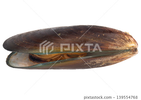 mussels isolated on white background mussels isolated on white background 139554768