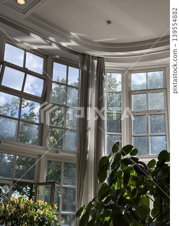 Interior view of large window showcasing lush green plant and natural light background Interior view of large window showcasing lush green plant and natural light background 139554882