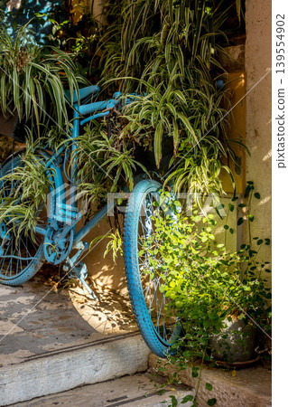 decorative blue bicycle with plants and flowers 139554902