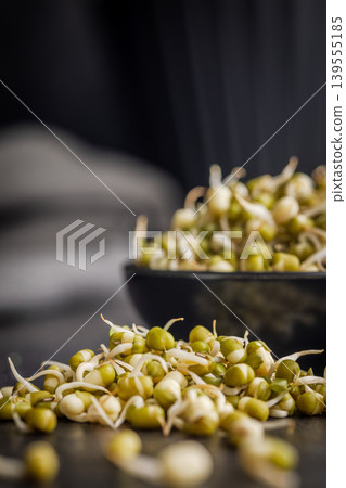 Fresh Mung Bean Sprouts In A Black Bowl On Dark Surface For Healthy Cooking Fresh Mung Bean Sprouts In A Black Bowl On Dark Surface For Healthy Cooking 139555185