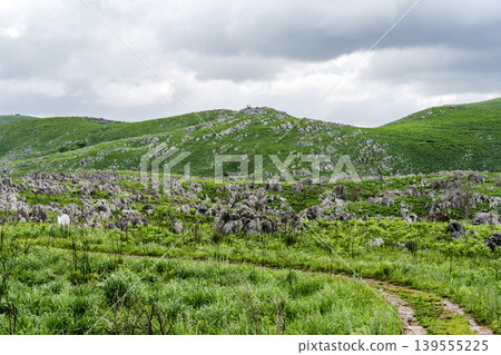 山口縣秋吉台,陰天。這是日本最大的喀斯特高原的景觀。 山口縣秋吉台,陰天。這是日本最大的喀斯特高原的景觀。 139555225