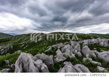 A cloudy day at Akiyoshidai in Yamaguchi Prefecture. A landscape of Japan's largest karst plateau. A cloudy day at Akiyoshidai in Yamaguchi Prefecture. A landscape of Japan's largest karst plateau. 139555232