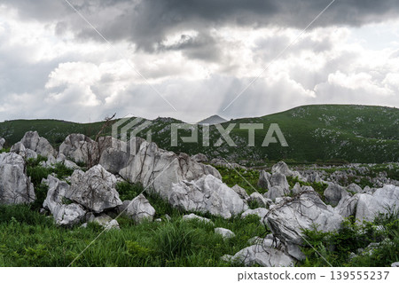 山口縣秋吉台,陰天。這是日本最大的喀斯特高原的景觀。 山口縣秋吉台,陰天。這是日本最大的喀斯特高原的景觀。 139555237