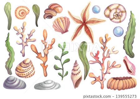 Seashells and seaweed, isolated watercolor set. Colorful hand drawn corals and starfish. Marine life clip art, underwater world for stickers, postcards, and promotional materials. Seashells and seaweed, isolated watercolor set. Colorful hand drawn corals and starfish. Marine life clip art, underwater world for stickers, postcards, and promotional materials. 139555273