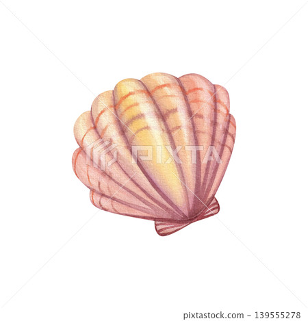 Seashell, isolated watercolor illustration. Colorful hand-drawn fan-shaped mollusk shell in pink. Marine life clipart, underwater world for stickers, cards, and packaging. Seashell, isolated watercolor illustration. Colorful hand-drawn fan-shaped mollusk shell in pink. Marine life clipart, underwater world for stickers, cards, and packaging. 139555278