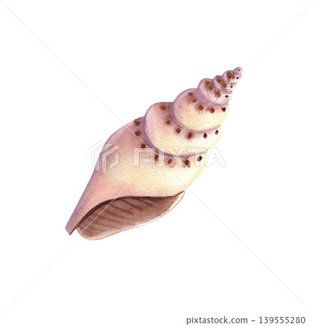 Seashell, isolated watercolor illustration. Colorful spiral-shaped mollusk shell, hand-drawn in pink. Marine life clip art, underwater world for stickers, cards, and packaging. Seashell, isolated watercolor illustration. Colorful spiral-shaped mollusk shell, hand-drawn in pink. Marine life clip art, underwater world for stickers, cards, and packaging. 139555280