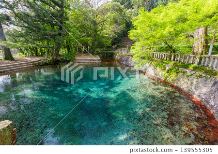 Beppu Benten Pond and its beautiful spring water, selected as one of Japan's Top 100 Famous Waters, and Beppu Itsukushima Shrine, Mine City, Yamaguchi Prefecture. Beppu Benten Pond and its beautiful spring water, selected as one of Japan's Top 100 Famous Waters, and Beppu Itsukushima Shrine, Mine City, Yamaguchi Prefecture. 139555305