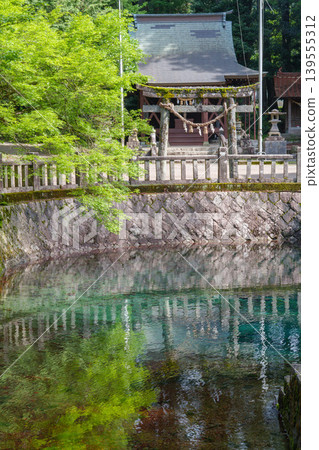 Beppu Benten Pond and its beautiful spring water, selected as one of Japan's Top 100 Famous Waters, and Beppu Itsukushima Shrine, Mine City, Yamaguchi Prefecture. Beppu Benten Pond and its beautiful spring water, selected as one of Japan's Top 100 Famous Waters, and Beppu Itsukushima Shrine, Mine City, Yamaguchi Prefecture. 139555312