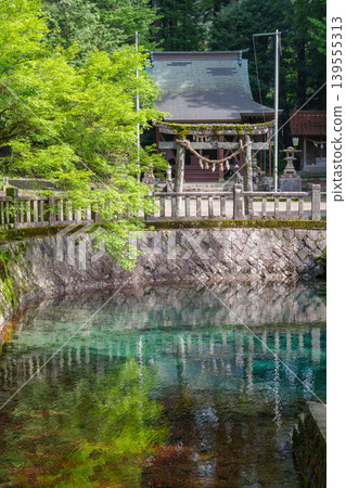 Beppu Benten Pond and its beautiful spring water, selected as one of Japan's Top 100 Famous Waters, and Beppu Itsukushima Shrine, Mine City, Yamaguchi Prefecture. 139555313