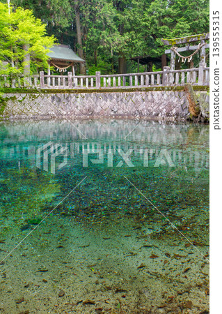 Beppu Benten Pond and its beautiful spring water, selected as one of Japan's Top 100 Famous Waters, and Beppu Itsukushima Shrine, Mine City, Yamaguchi Prefecture. 139555315