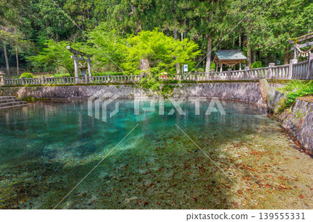 Beppu Benten Pond and its beautiful spring water, selected as one of Japan's Top 100 Famous Waters, and Beppu Itsukushima Shrine, Mine City, Yamaguchi Prefecture. Beppu Benten Pond and its beautiful spring water, selected as one of Japan's Top 100 Famous Waters, and Beppu Itsukushima Shrine, Mine City, Yamaguchi Prefecture. 139555331