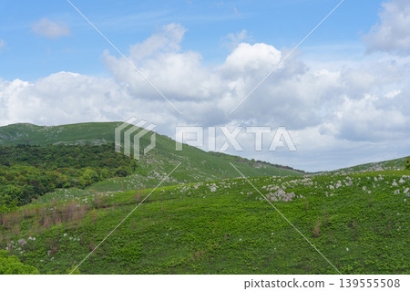 Akiyoshidai in May, with its beautiful fresh greenery, boasts one of Japan's largest karst plateau landscapes. Akiyoshidai in May, with its beautiful fresh greenery, boasts one of Japan's largest karst plateau landscapes. 139555508