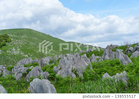 五月的秋吉台綠意盎然,景色宜人,是日本最大的喀斯特高原景觀之一。 五月的秋吉台綠意盎然,景色宜人,是日本最大的喀斯特高原景觀之一。 139555517